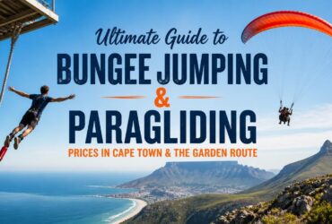 Ultimate Guide to Bungee Jumping & Paragliding Prices in Cape Town & the Garden Route