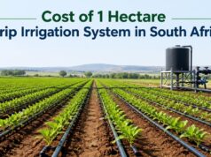 Cost of 1 Hectare Drip Irrigation System in South Africa Cost of 1 Hectare Drip Irrigation System in South Africa