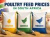 Poultry Feed Prices in South Africa (Starter, Grower, Finisher 50kg) Poultry Feed Prices in SA (Starter, Grower, Finisher 50kg)