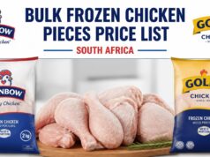 Bulk Frozen Chicken Pieces Price List in South Africa (2kg & 5kg Bag Prices) Bulk Frozen Chicken Pieces Price List in South Africa (2kg & 5kg Bag Prices)